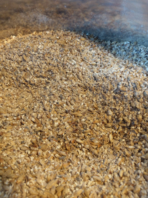 A close up of mixed malted barley prior to mash in