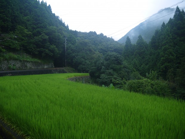 Rural Kōchi