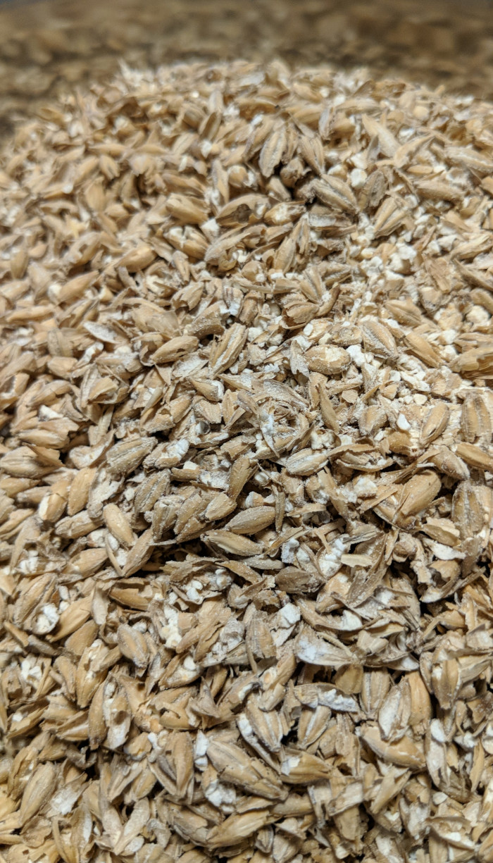 Golden Promise pale ale malted barley grains in a stainless steel pot