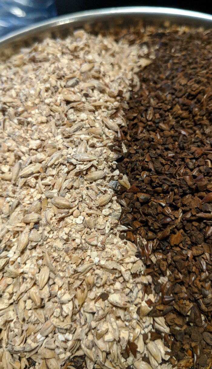 Light and dark crystal malted barley grains side by side, light beige on left, dark brown on right, in stainless steel pot
