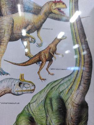 poor quality image of the front of a white jigsaw puzzle box with numerous dinosaurs and their names.. there is one called heterodontosaurus..