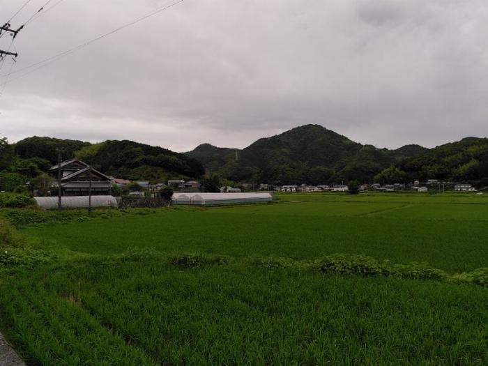 Rice fields, some sparsely scattered houses, a hill and a cloudy sky.
