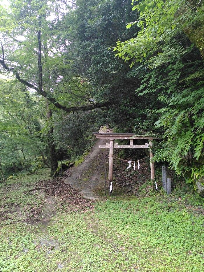A torii gate stands aside an ascending path into the hills, there is a patch of grass ahead of these and lots of trees around.