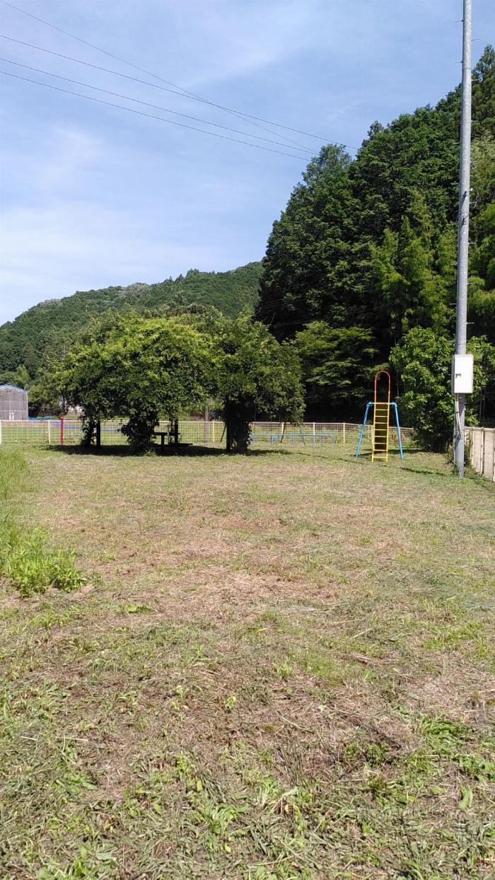 滑り台、ブランコ、木に覆われたピクニックテーブルがある。 滑り台、ブランコ、木に覆われたピクニックテーブルがある。