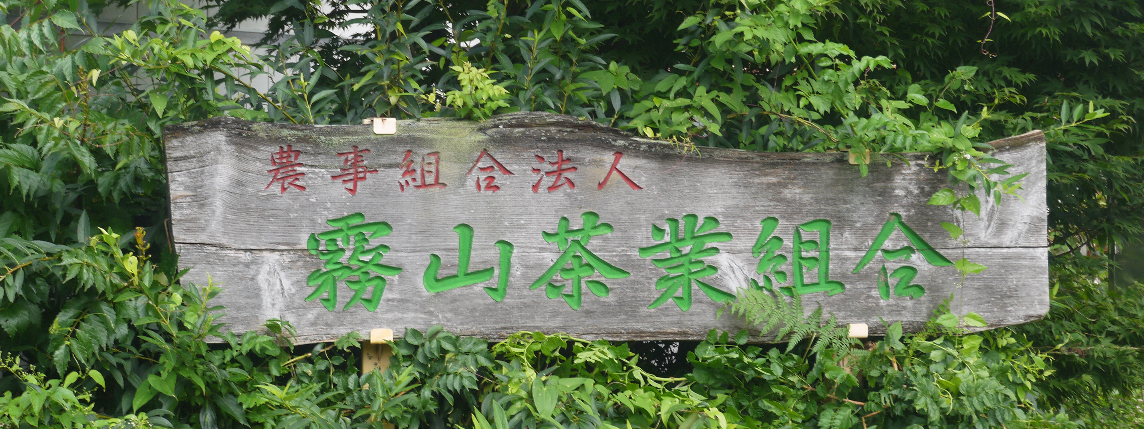 Kiriyama Tea Farm 霧山茶業組合